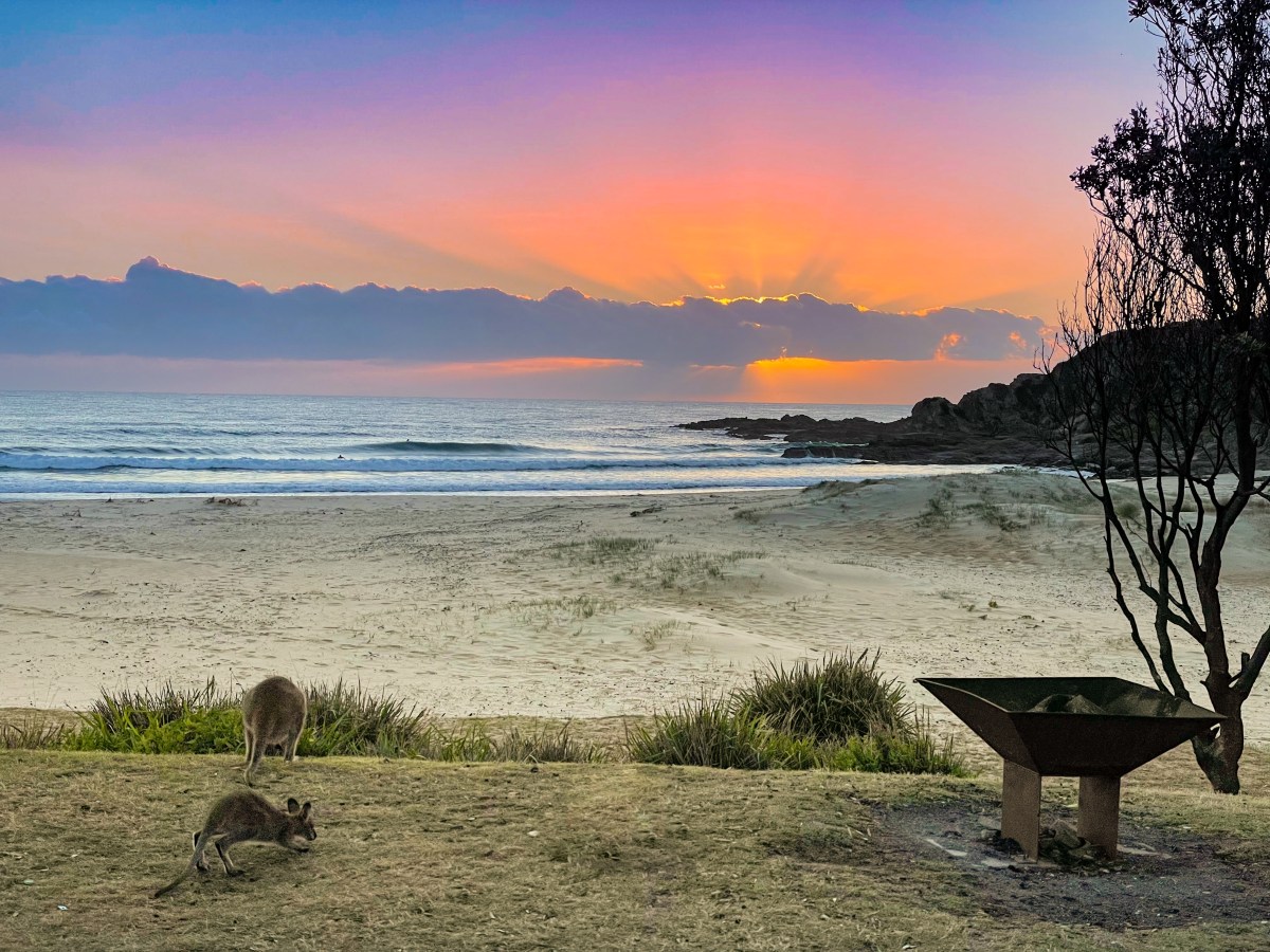 Potato Point/Narooma